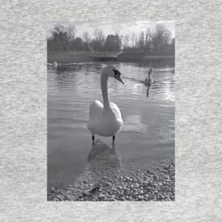 Swan photo black and white T-Shirt